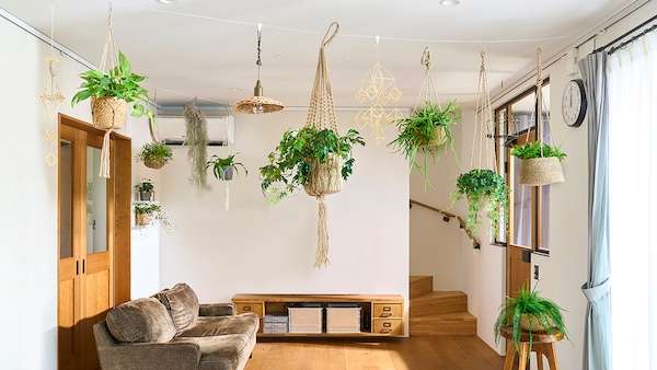 LIXILから、壁・天井に植物やアートが飾れるワイヤーシステム