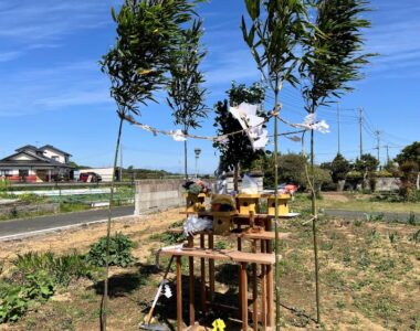茨城県筑西市注文住宅地鎮祭を行いました！